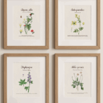 Top 4 Homeopathy Remedies Wall Art